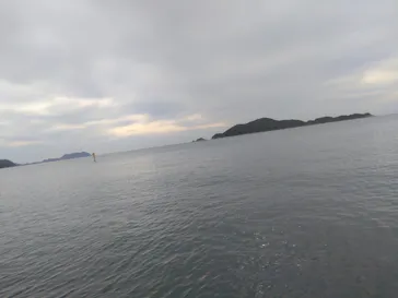 響SUPに投稿された画像（2026/8/23）