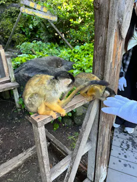 伊豆シャボテン動物公園に投稿された画像（2026/8/23）