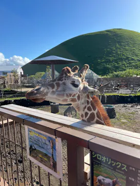 伊豆シャボテン動物公園に投稿された画像（2026/8/23）