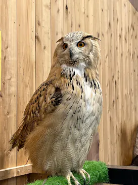 伊豆シャボテン動物公園に投稿された画像（2026/8/23）