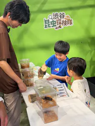 渋谷昆虫探検隊に投稿された画像（2026/8/23）