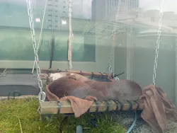 サンシャイン水族館に投稿された画像（2026/8/23）