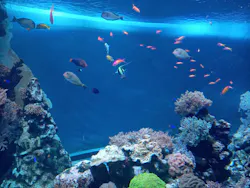 サンシャイン水族館に投稿された画像（2026/8/23）