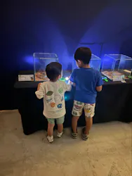渋谷昆虫探検隊に投稿された画像（2026/8/23）