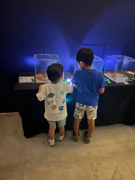 渋谷昆虫探検隊に投稿された画像（2026/8/23）