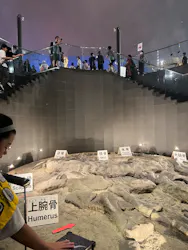福井県立恐竜博物館に投稿された画像（2026/8/23）