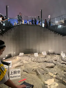 福井県立恐竜博物館に投稿された画像（2026/8/23）