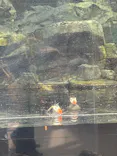 環境水族館アクアマリンふくしまに投稿された画像（2026/8/23）