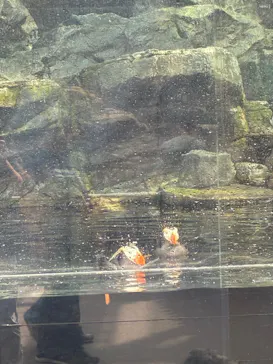 環境水族館アクアマリンふくしまに投稿された画像（2026/8/23）