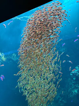 環境水族館アクアマリンふくしまに投稿された画像（2026/8/23）
