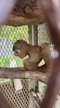 日立市かみね動物園に投稿された画像（2026/8/23）