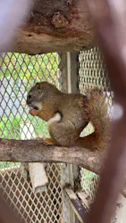 日立市かみね動物園に投稿された画像（2026/8/23）