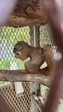 日立市かみね動物園に投稿された画像（2026/8/23）