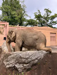 日立市かみね動物園に投稿された画像（2026/8/23）