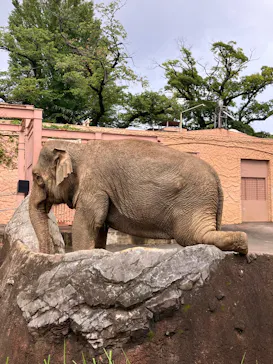 日立市かみね動物園に投稿された画像（2026/8/23）