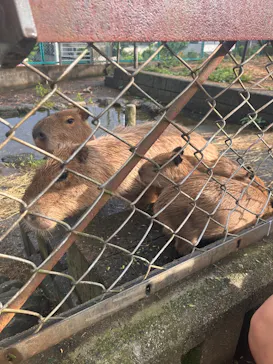 日立市かみね動物園に投稿された画像（2026/8/23）
