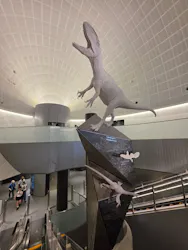 福井県立恐竜博物館に投稿された画像（2026/8/23）