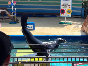 鳥羽湾めぐりとイルカ島に投稿された画像（2026/8/23）