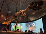 国立科学博物館に投稿された画像（2026/8/23）