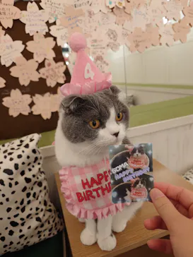 猫カフェモカ イオンモール神戸北店に投稿された画像（2026/8/23）