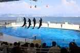 マリンワールド海の中道に投稿された画像（2026/8/23）