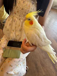 Moff animal cafe 小田原ダイナシティ店に投稿された画像（2026/8/23）
