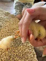 Moff animal cafe 小田原ダイナシティ店に投稿された画像（2026/8/23）