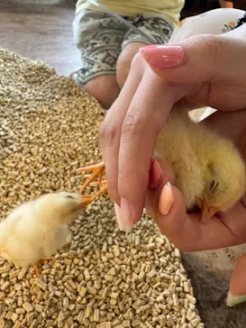 Moff animal cafe 小田原ダイナシティ店に投稿された画像（2026/8/23）