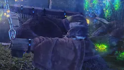 サンシャイン水族館に投稿された画像（2026/8/23）