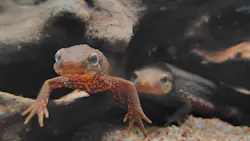 サンシャイン水族館に投稿された画像（2026/8/23）