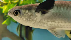 サンシャイン水族館に投稿された画像（2026/8/23）