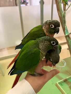 Moff animal cafe イオンモール幕張新都心店に投稿された画像（2026/8/23）