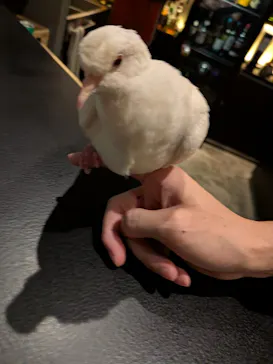 BAR21に投稿された画像（2026/8/23）