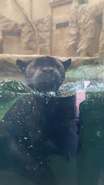 名古屋市東山動植物園に投稿された画像（2026/8/23）