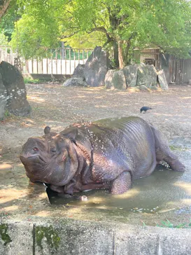 名古屋市東山動植物園に投稿された画像（2026/8/23）