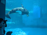 名古屋港水族館に投稿された画像（2026/8/23）