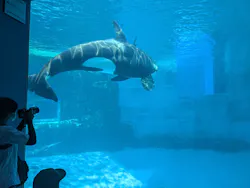 名古屋港水族館に投稿された画像（2026/8/23）