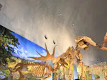 福井県立恐竜博物館に投稿された画像（2026/8/23）