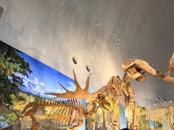 福井県立恐竜博物館に投稿された画像（2026/8/23）