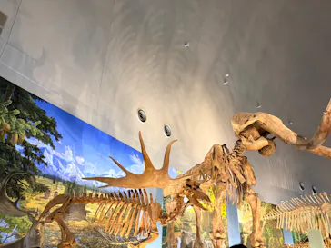 福井県立恐竜博物館に投稿された画像（2026/8/23）