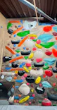 クライミングジム VOLNY（ボルニー）に投稿された画像（2026/8/23）