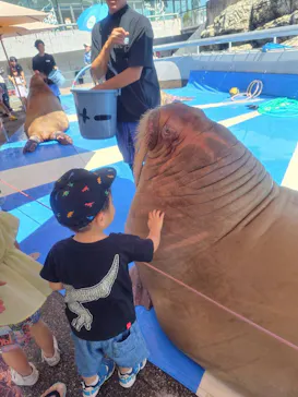 大分マリーンパレス水族館 「うみたまご」に投稿された画像（2026/8/23）