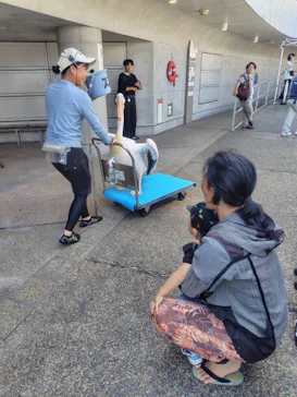 大分マリーンパレス水族館 「うみたまご」に投稿された画像（2026/8/23）