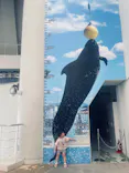 マリンワールド海の中道に投稿された画像（2026/8/23）