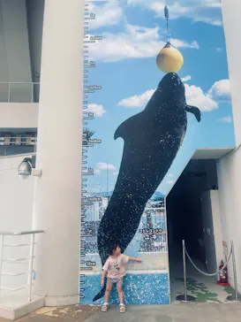 マリンワールド海の中道に投稿された画像（2026/8/23）
