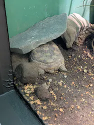 サンシャイン水族館に投稿された画像（2026/8/23）