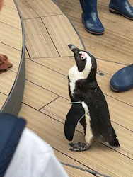 サンシャイン水族館に投稿された画像（2026/8/23）