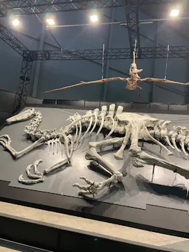 ヨコハマ恐竜展２０２６～恐竜の食卓大図鑑～に投稿された画像（2026/8/23）