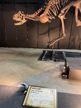ヨコハマ恐竜展２０２６～恐竜の食卓大図鑑～に投稿された画像（2026/8/23）