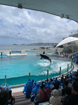鴨川シーワールドに投稿された画像（2026/8/23）